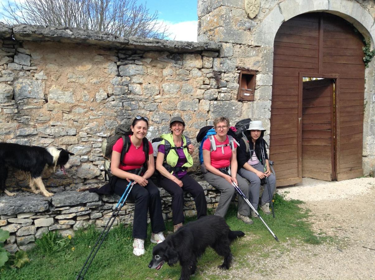 Les Roulottes Du Lot Bed & Breakfast Gramat Eksteriør bilde